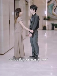 Episode 29 - Husband Exchange: Marry That Hidden CEO