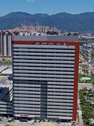 Addicted But Allergic to Love - Episode 9