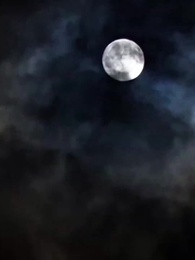 퐁기장가 - Episode 60