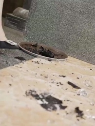 아수라왕 - Episode 18