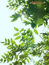 ตอนที่ 59 - สลับตัวกันแต่งงาน