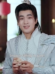 Episode 17 - Cinderella's Hidden King