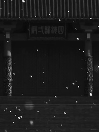 アヤメの約束 - Episode 1