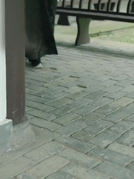 황태녀를 향한 마음 - Episode 39