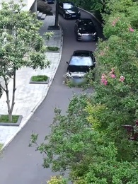 鎮天神君 - Episode 11