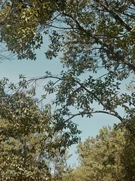 國術無雙 - Episode 4