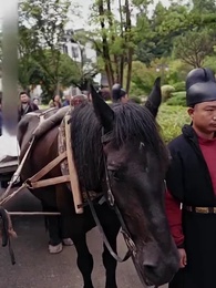 Episode 8 - Strategi sang Ratu