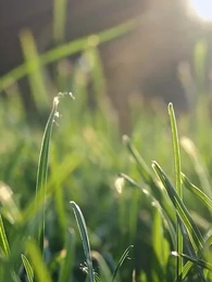 第27集 - 我替擺爛千金逆襲