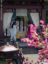 第20集 - 糟糕，我被駙馬包圍了