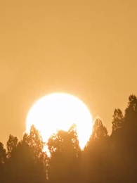 Episode 11 - Suami bodohku kaya raya