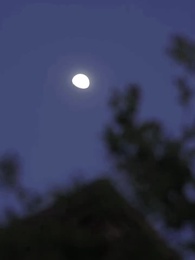 Episode 33 - Forbidden Desires My Ex's Uncle's Love