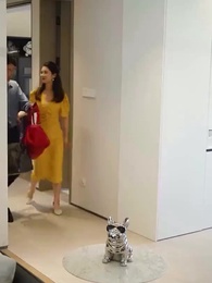 64화 - 최고의 데릴사위