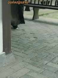 ชั่วชีวิตนี้ข้าคิดถึงแต่ซิงเฉิน - Episode 39