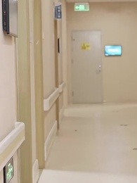 第35集 - 總裁有疾閃婚來襲