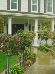 La compagne non désirée - Episode 85