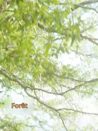 Épisode 1 - La compagne non désirée