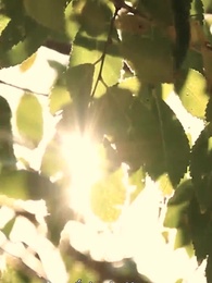 Épisode 62 - Désirs Interdits L'amour d'Alpha