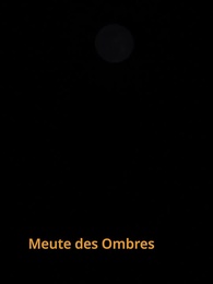 Épisode 6 - La compagne non désirée