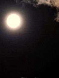 Épisode 48 - Désirs Interdits L'amour d'Alpha