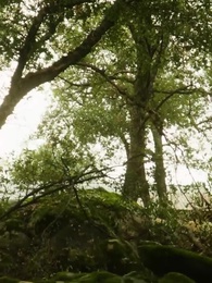 Épisode 68 - La compagne non désirée