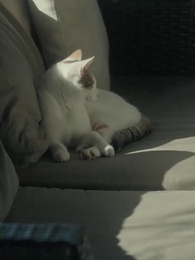 La compagne non désirée - Episode 67