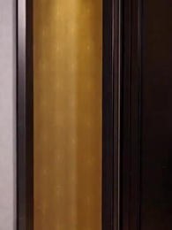 When The President Lost His Memory - Episode 18