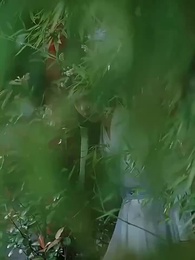 春麗の頃に～時を越えた恋~ - Episode 40