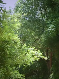 ตอนที่ 28 - สนมจอมวางแผน