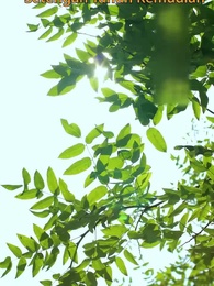 Episode 59 - Perjodohan