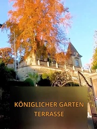 Episode 9 - Meine arme Ex-Frau ist eine Erbin