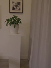 Meine arme Ex-Frau ist eine Erbin - Episode 35