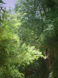 Episode 28 - Dirty Secret in Palace