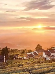 Episode 6 - Perfect Blind Date With the CEO