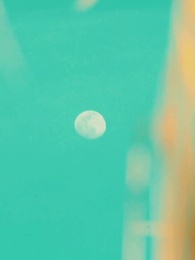 O Rei Alfa e Seu Amor Rejeitado - Episode 10