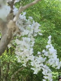 61화 - 후궁생존기