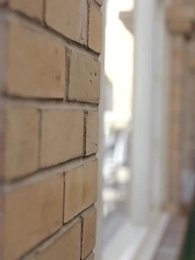 Alphas Verlockung: Die verbotene Liebe - Episode 12