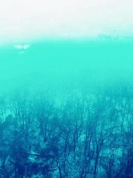 O Rei Alfa e Seu Amor Rejeitado - Episode 5