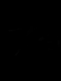 Alphas Verlockung: Die verbotene Liebe - Episode 48