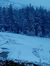 O Rei Alfa e Seu Amor Rejeitado - Episode 39