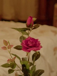 O Rei Alfa e Seu Amor Rejeitado - Episode 77