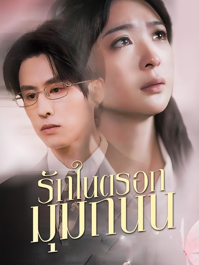 รักในตรอกมุมถนน