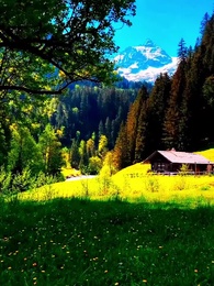 Episódio 26 - Amor do Destino