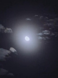 Episode 13 - Slept With My Alpha Mate