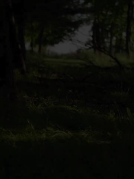 Episódio 3 - Amor do Destino