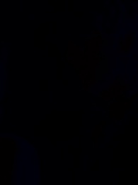 La Tentación del Alfa, el Amor Prohibido - Episode 53