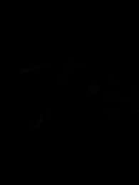 La Tentación del Alfa, el Amor Prohibido - Episode 48