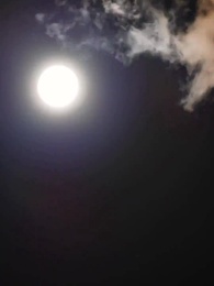 Episódio 53 - Amor do Destino