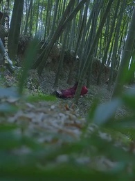 相見歡 - Episode 16