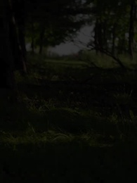 Eine Liebe durch das Schicksal - Episode 3