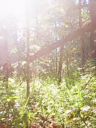 Eine Liebe durch das Schicksal - Episode 68